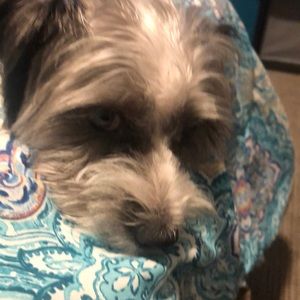 Meet your Posher, Rosslie